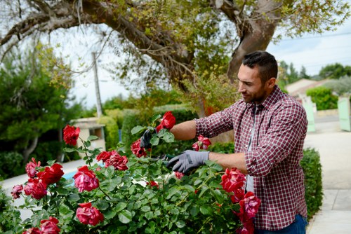 Gardener performing routine garden maintenance with tools
