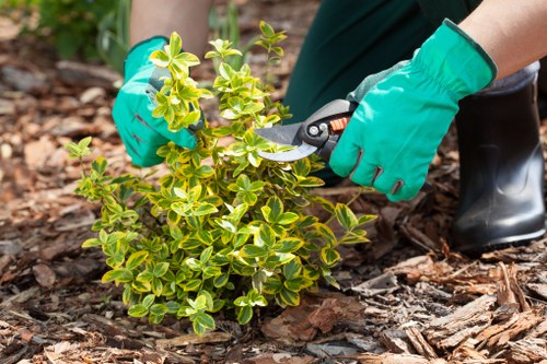 Garden maintenance services providing trimming and planting in Battersea