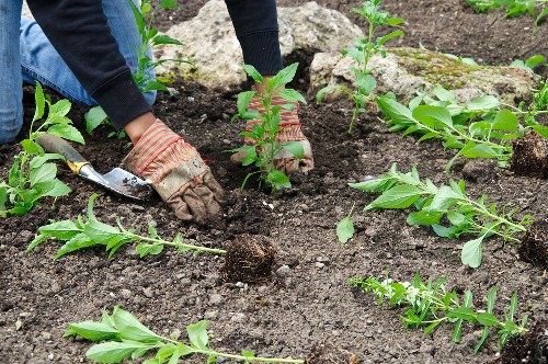 Reused plant pots and compost bags ready for redistribution to community gardens