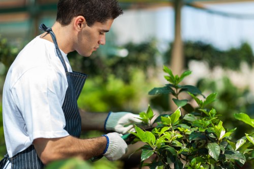 Lush Battersea garden showcasing expert care
