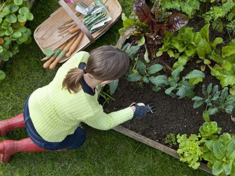 Professional gardener trimming plants in Battersea