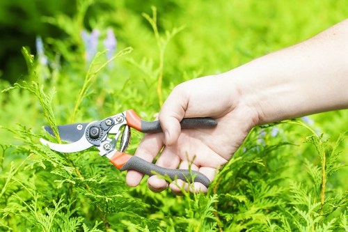 A close-up view of a person's hand using a pair of pruning shears to trim a green plant in a garden setting, with lush foliage and additional plants visible in the background. The garden appears well-maintained, displaying vibrant green leaves and healthy growth, typical of a landscaped outdoor space. The scene is illuminated by natural daylight, suggesting a bright, clear day. This outdoor environment could be part of a front or back garden in Battersea, where professional gardening services from Garden Maintenance Battersea might be employed for plant care and landscape upkeep, comprising lawn, hedge, and shrub maintenance.