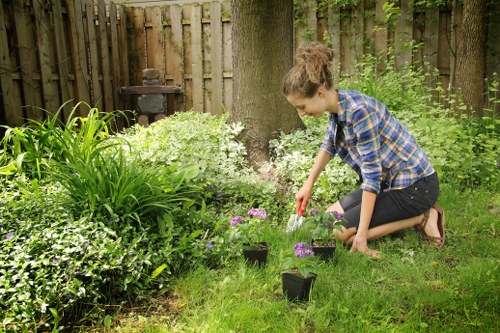Lush green lawn with trimmed edges in Battersea