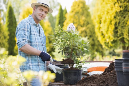 Professional hedge trimming tools and equipment