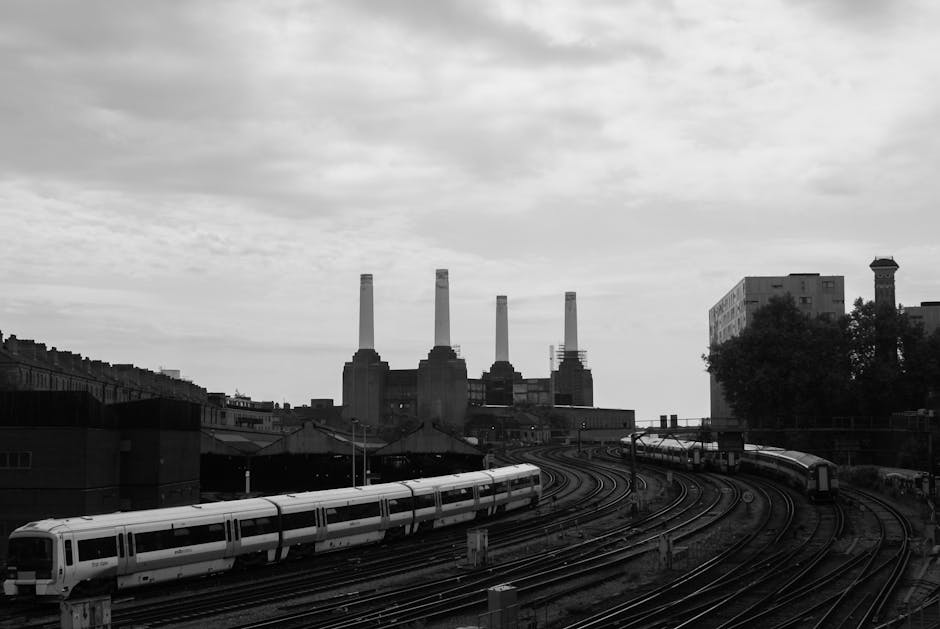 A view of the Battersea Power Station rooftop garden, featuring neatly maintained lawn areas with trimmed grass and garden beds arranged along the edges. The garden includes a variety of plants and sh